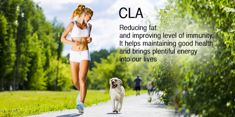 CLA Reducing fat and improving level of immunity. It helps maintaining good health and brings plentiful energy into our lives