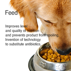 Feed Improves level and quality of nutrition and prevents product from spoiling. Invention of technology to substitute antibiotics.
