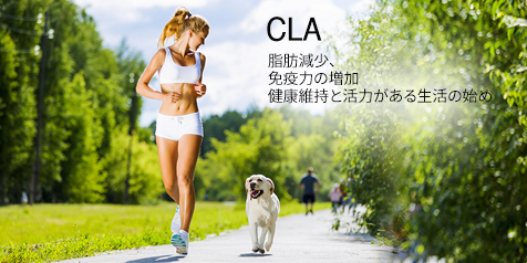 CLA 脂肪減少、免疫力の増加 健康維持と活力がある生活の始め