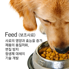 Feed (보조사료) 사료의 영양과 효능을 증가, 제품의 품질저화, 변질 방지 항생제 대체의 기술 개발